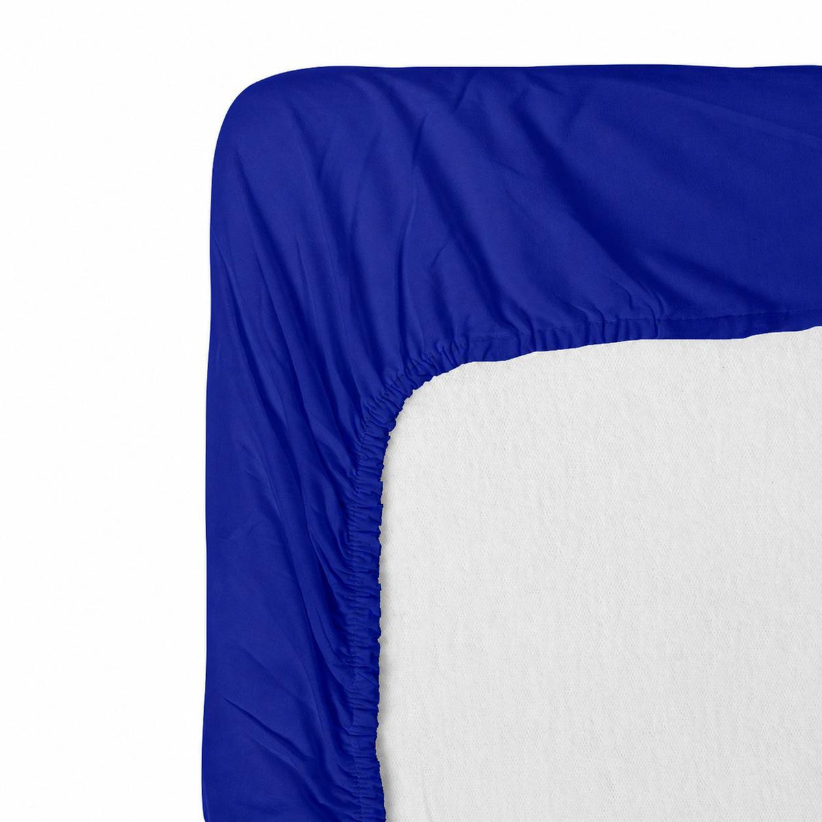 Cearceaf cu elastic, bumbac Renforce, Surf Web albastru royal